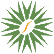 Nova Coffee star mark — a green sunburst with a coffee bean at its center